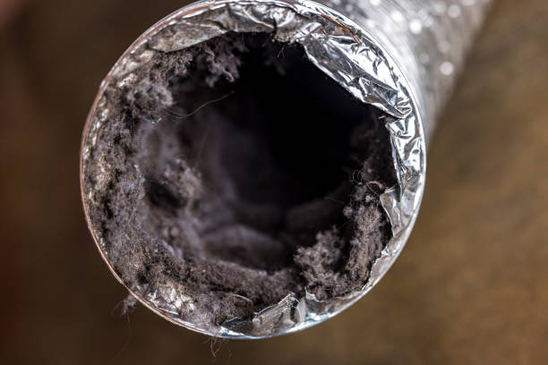 Best Professional Duct Cleaning Services  in Ringwood, NJ